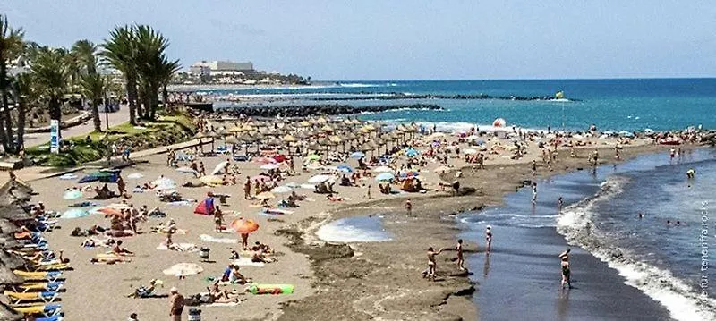 Alesol Tenerife Playa Fanabe 0*,